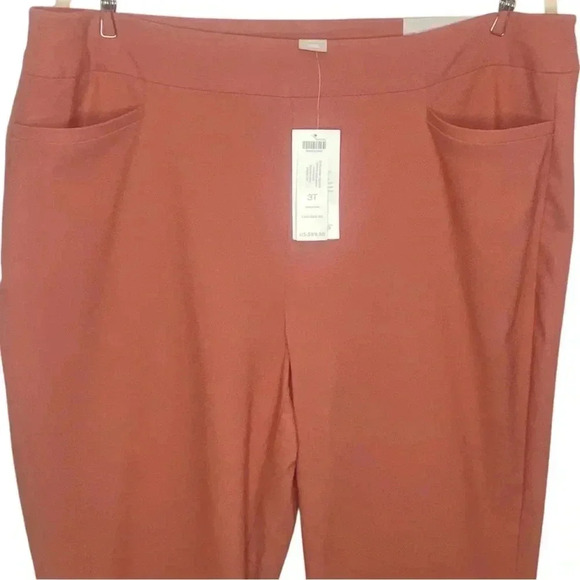 Chico's So Slimming Textured Desert Coral Slim Leg Pant / Size 3T - US Size 16T - Picture 4 of 10